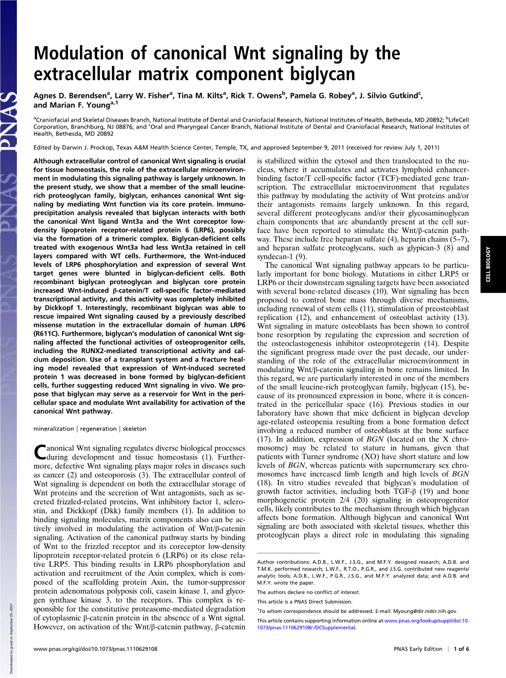 Modulation of Canonical Wnt Signaling by the Extracellular Matrix Component Biglycan