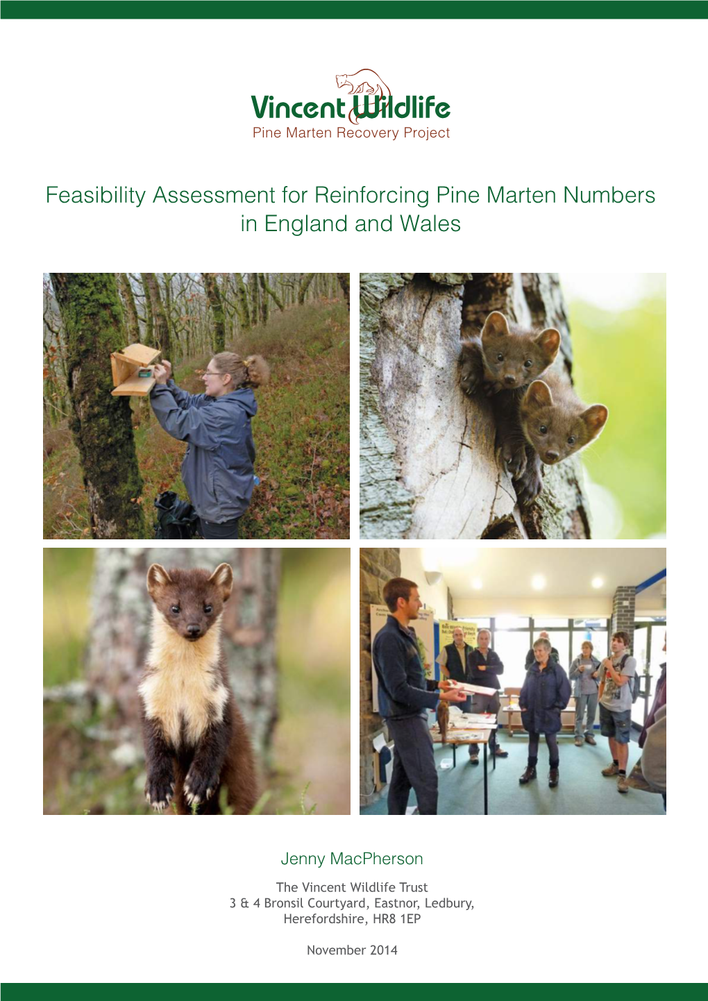 Feasibility Assessment for Reinforcing Pine Marten Numbers in England and Wales