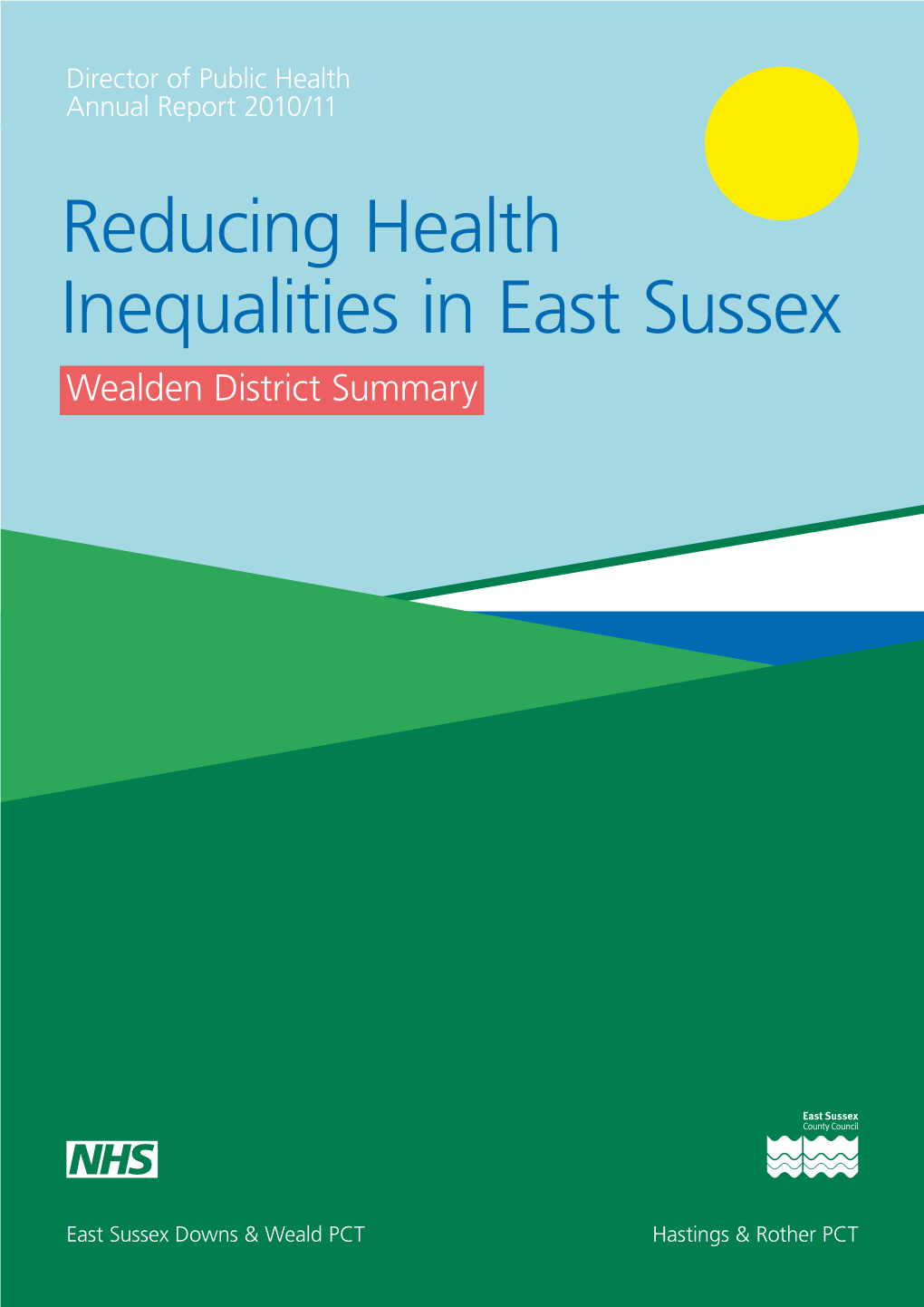 DPH Report 2010/11 Wealden Summary