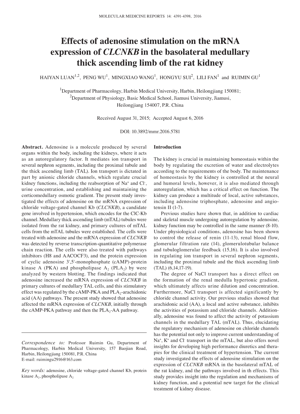 Effects of Adenosine Stimulation on the Mrna Expression of Clcnkbin