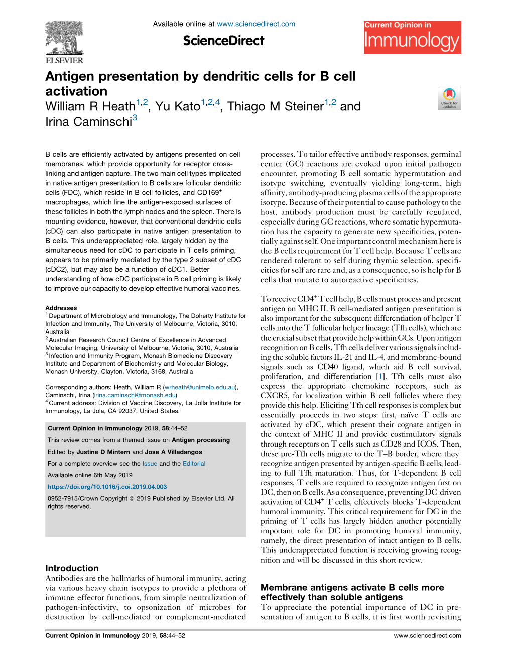 Antigen Presentation by Dendritic Cells for B Cell Activation