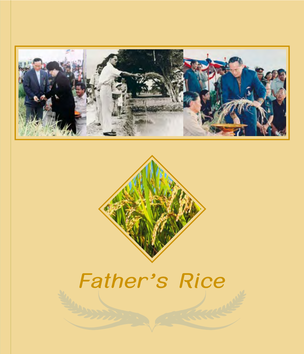 Father's Rice