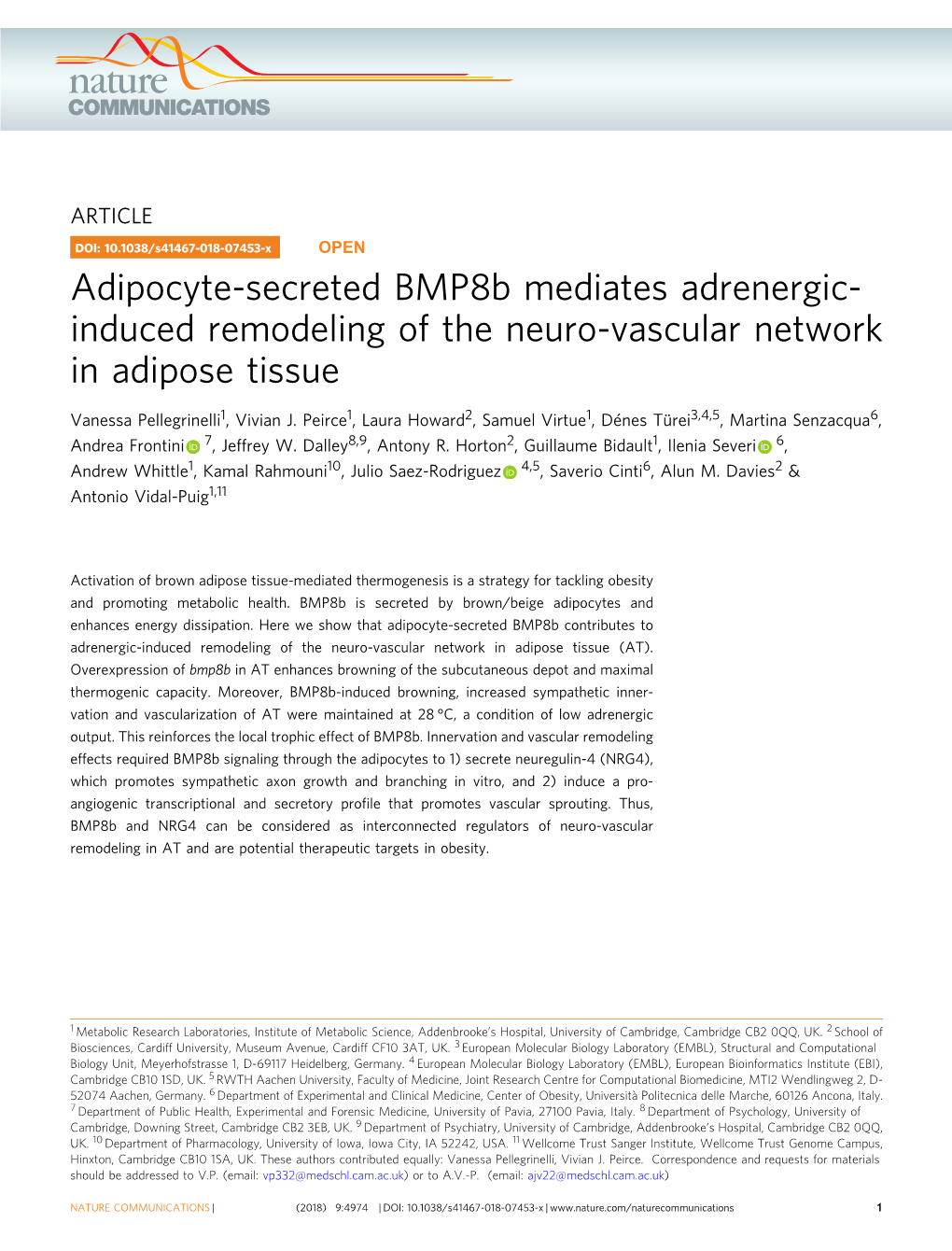 Adipocyte-Secreted Bmp8b Mediates Adrenergic-Induced Remodeling Of