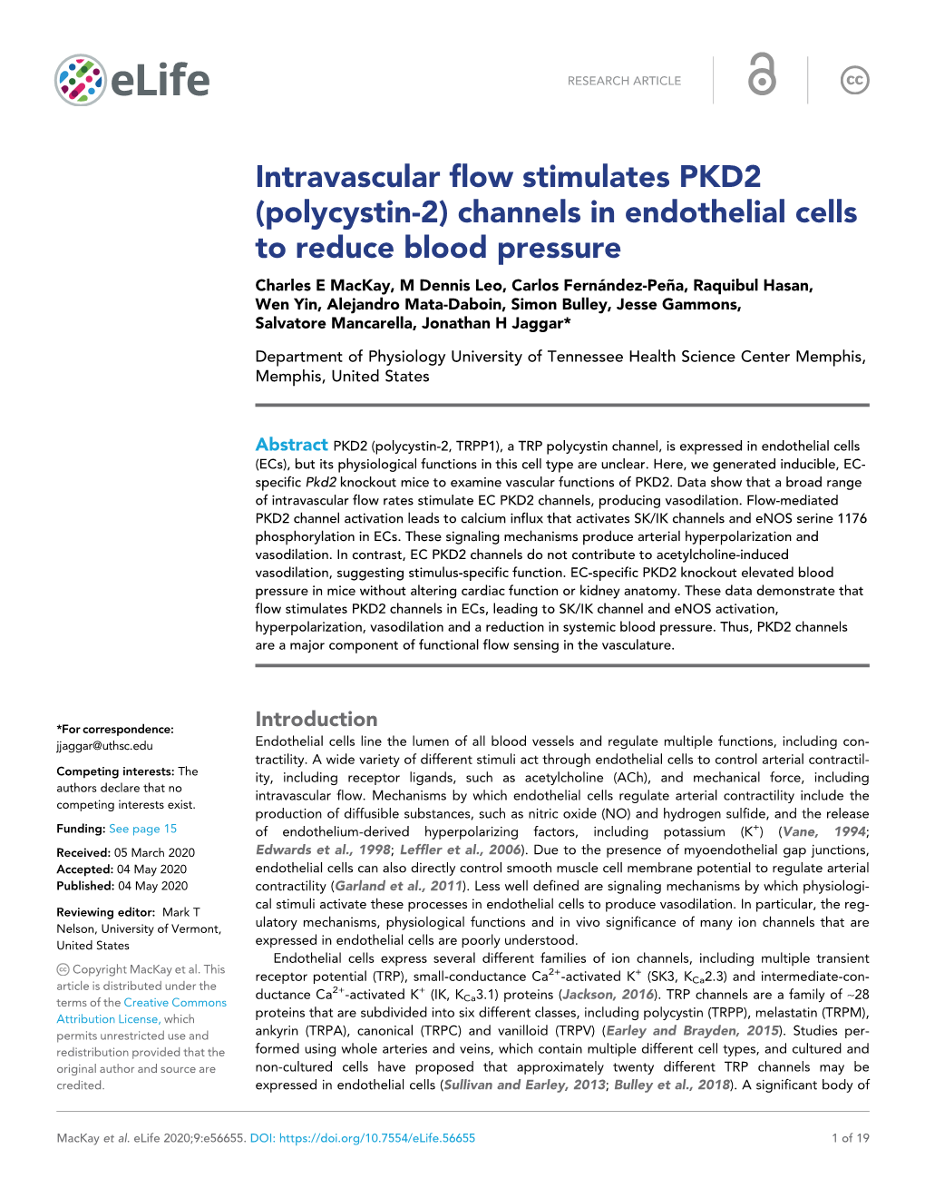 Intravascular Flow Stimulates PKD2 (Polycystin-2) Channels in Endothelial Cells to Reduce Blood Pressure