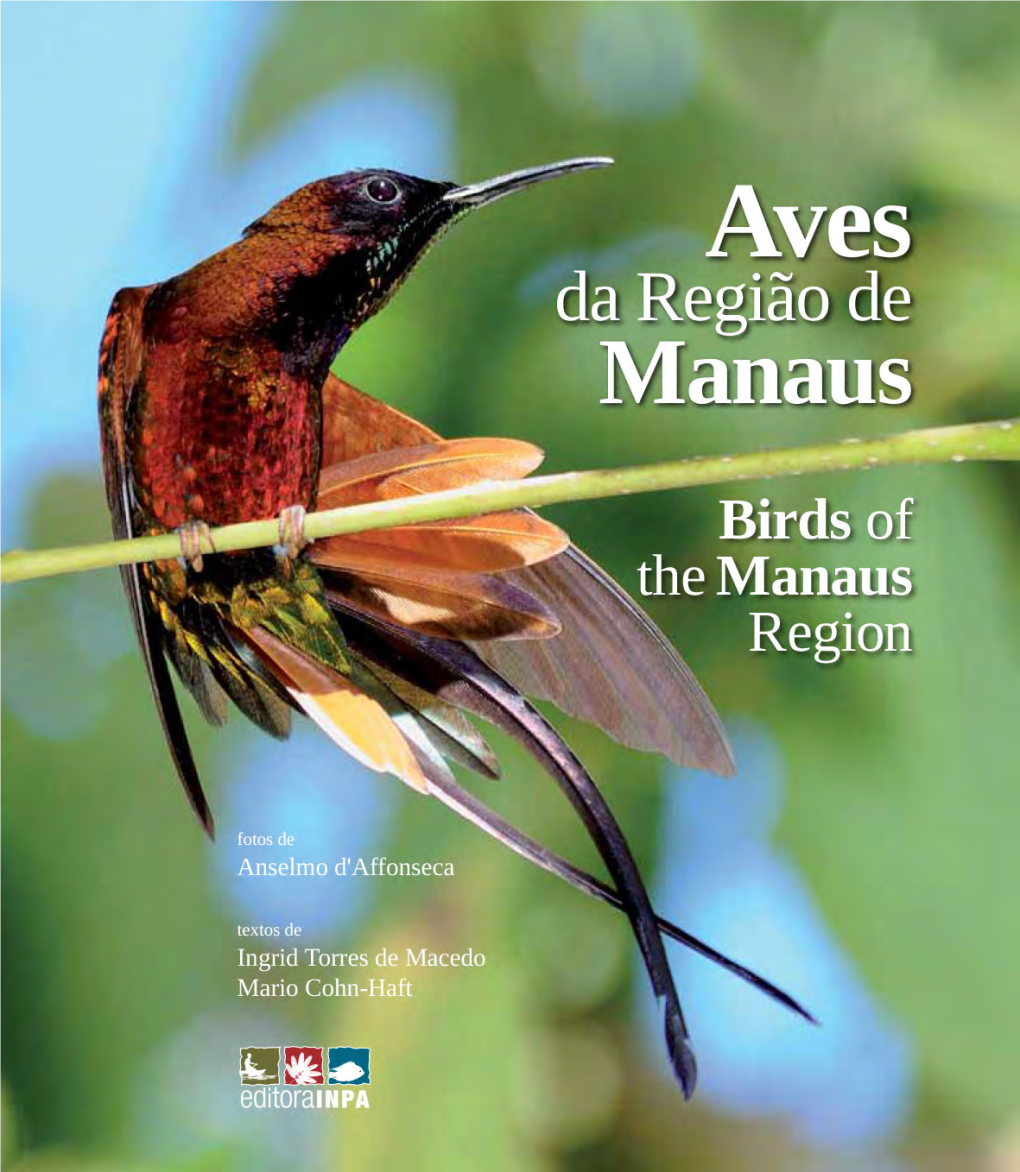 Aves De Manaus.Pdf