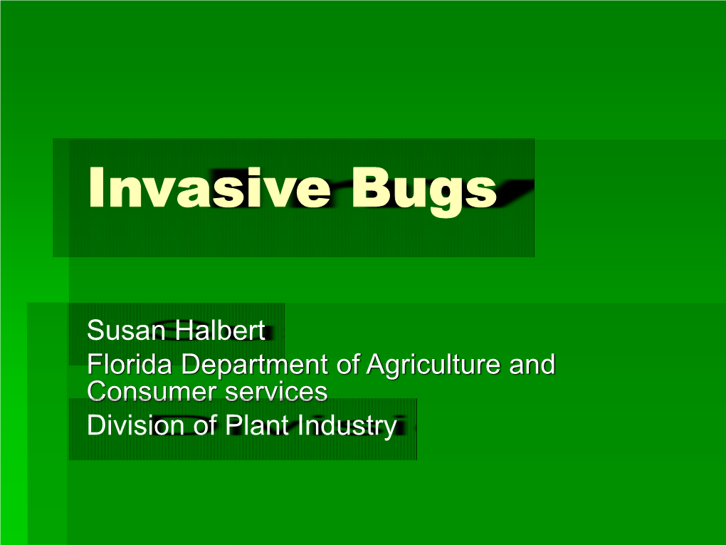 Invasive Hoppers, Psyllids and Aphids