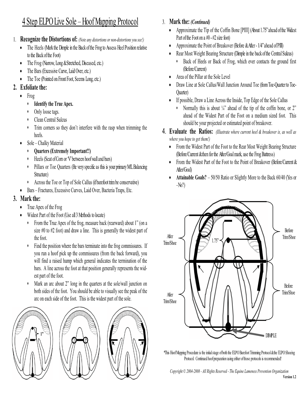 Hoof Mapping Protocol 3