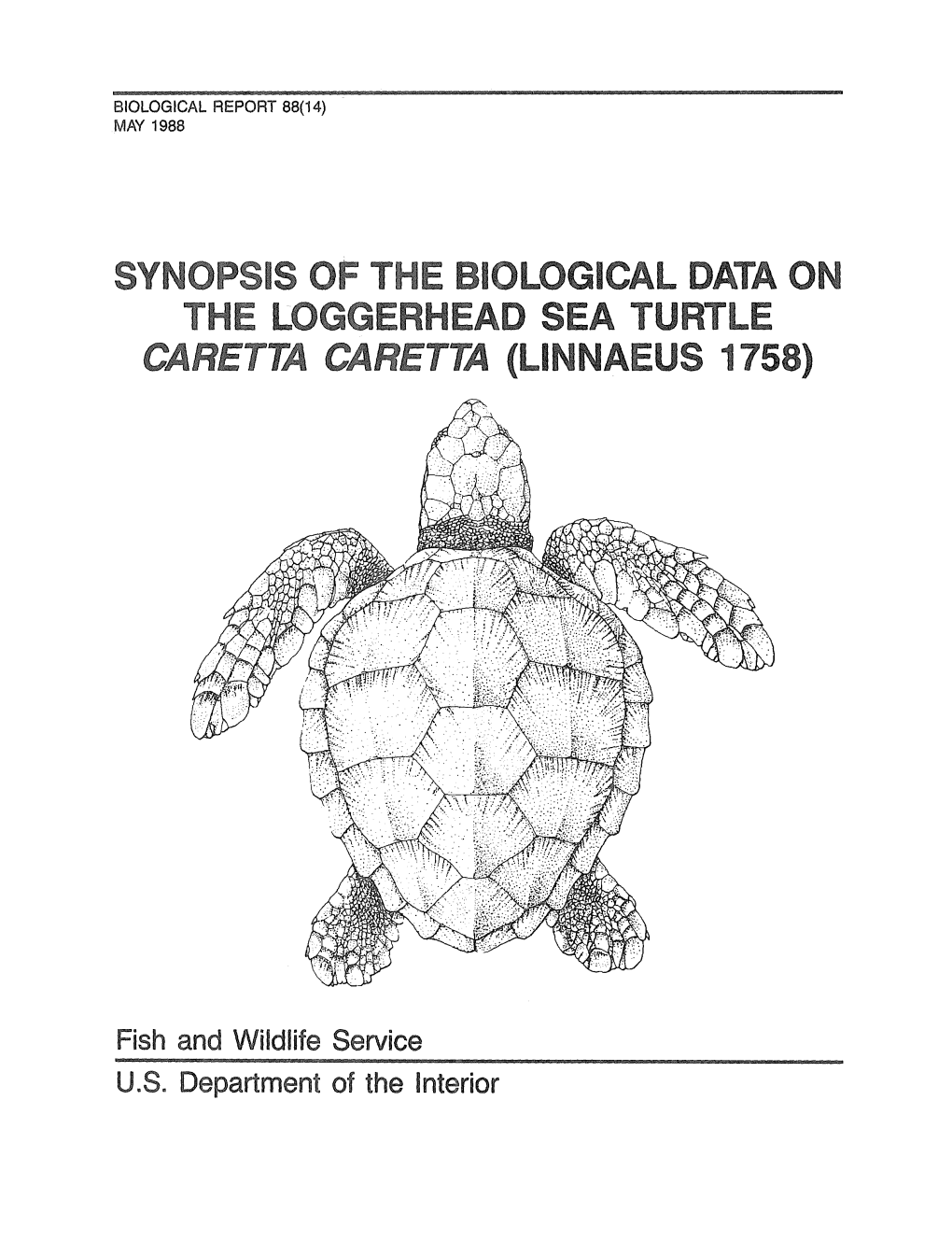 Synopsis of the Biological Data on the Loggerhead Sea Turtle Caretta Caretta (Linnaeus 1758)