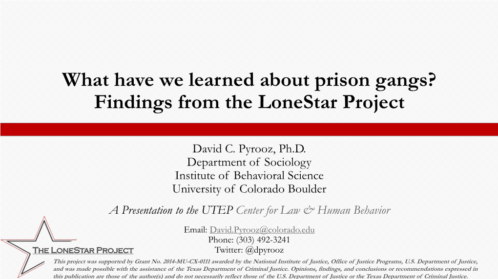 What Have We Learned About Prison Gangs? Findings from the Lonestar Project