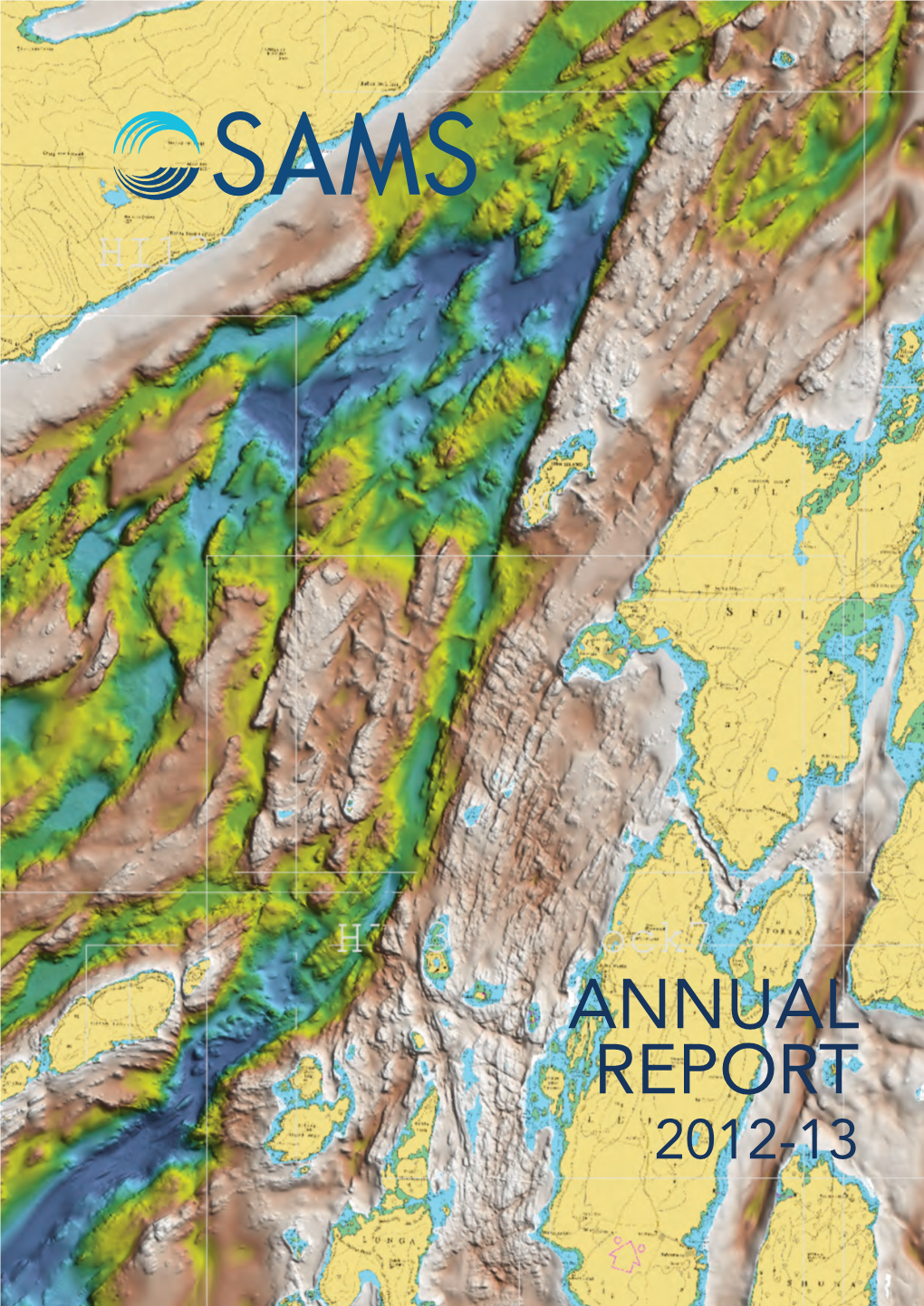 Annual Report 2013.Pdf