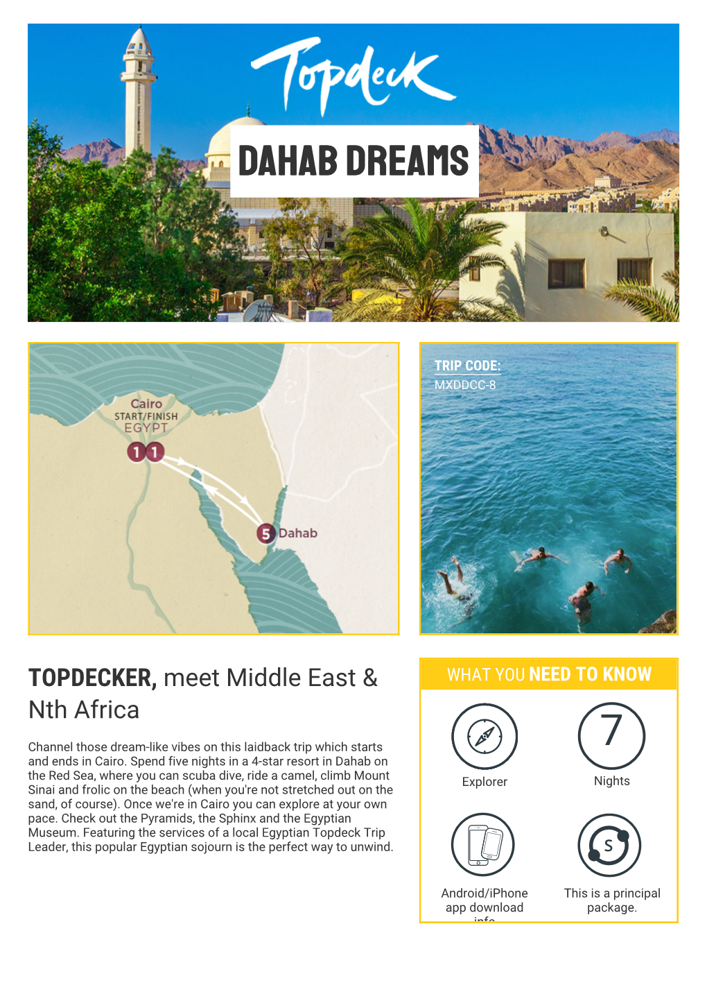 Dahab Dreams 7