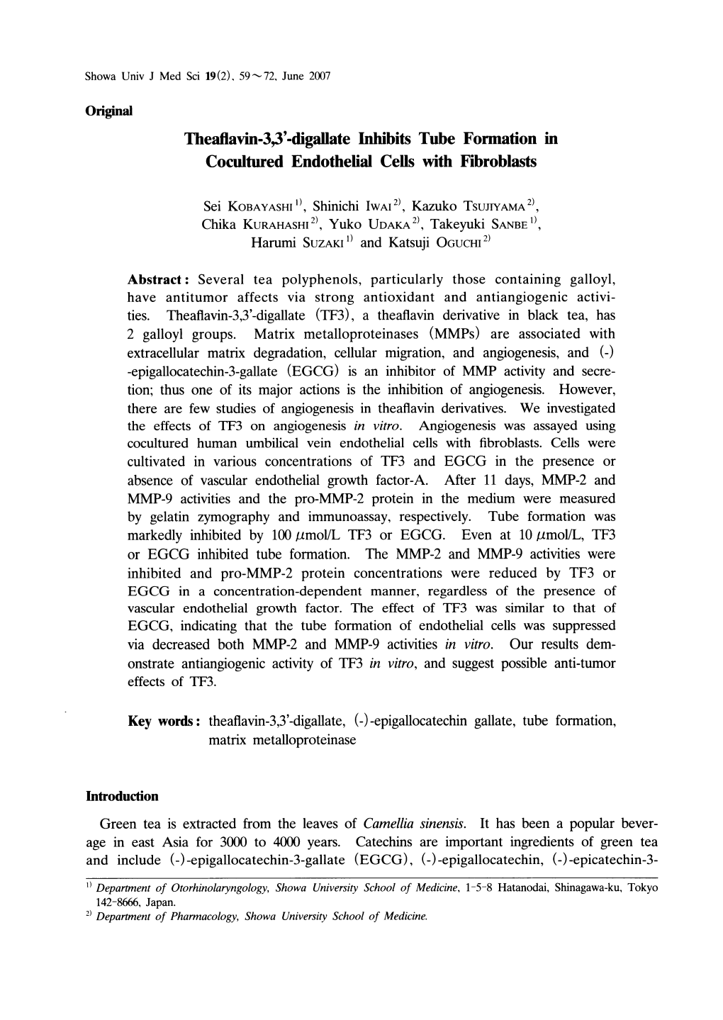 Digallate Inhibits Tube Formation in Cocultured Endothelial Cells with Fibroblasts