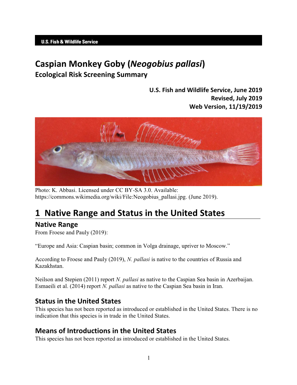 Neogobius Pallasi (Caspian Monkey Goby) Ecological Risk Screening Summary