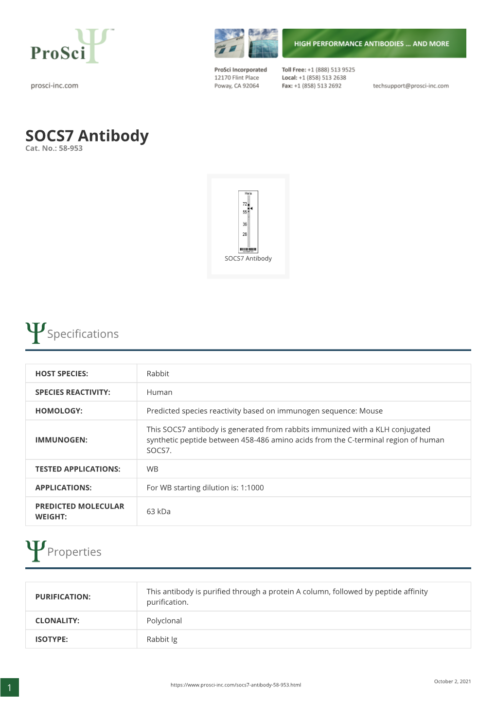 SOCS7 Antibody Cat
