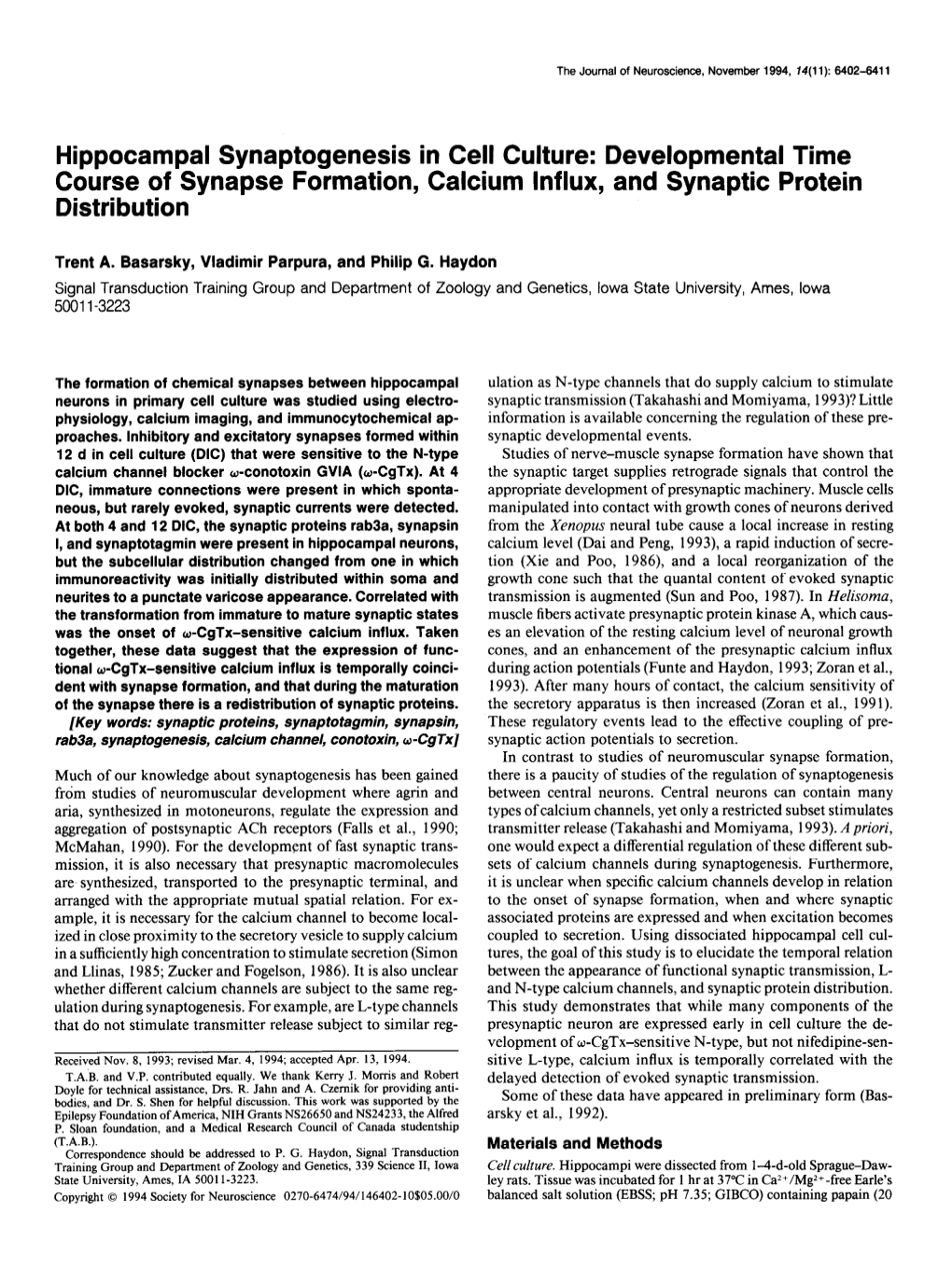 Developmental Time Course of Synapse Formation, Calcium Influx, and Synaptic Protein Distribution