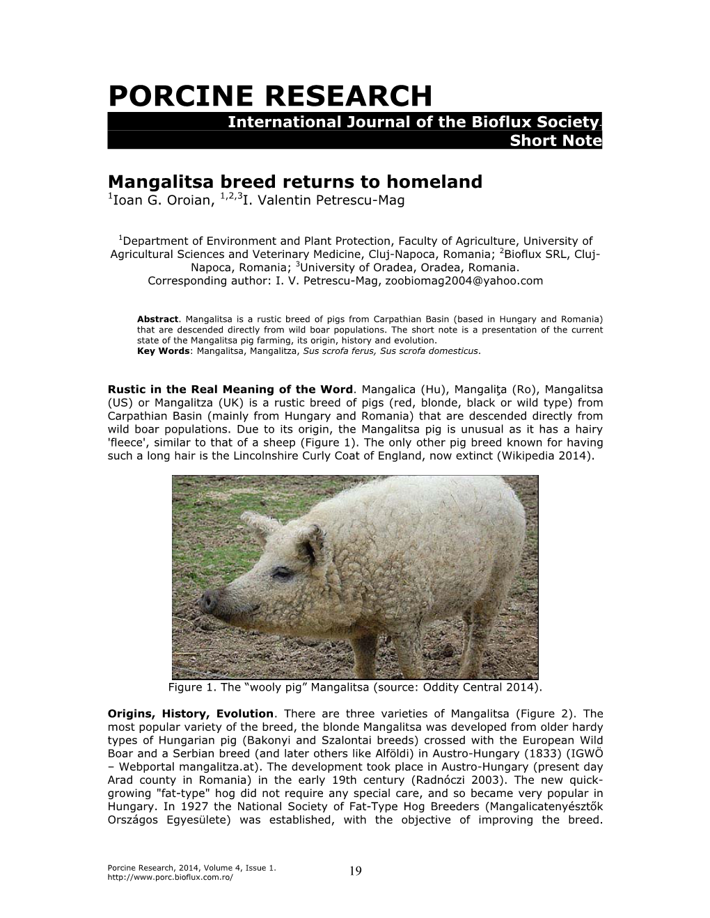 Porcine Research