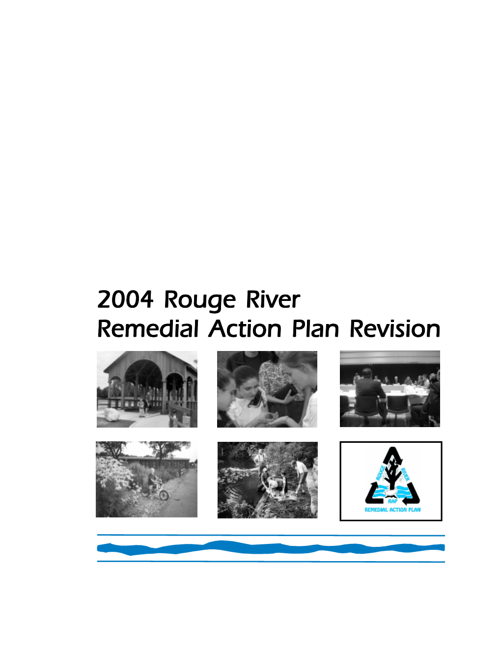 Rouge River Remedial Action Plan Revision Thank You!