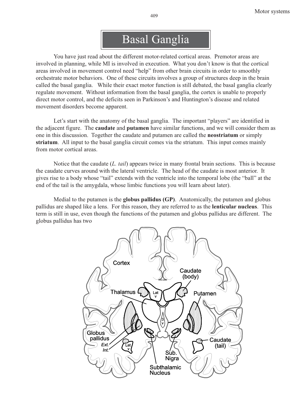 Motor Systems Basal Ganglia