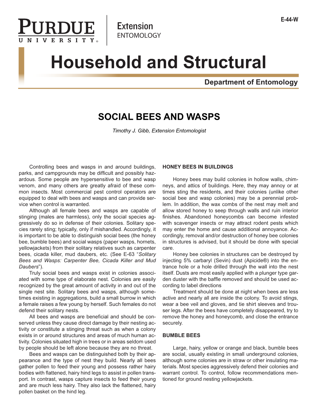 Social Bees and Wasps