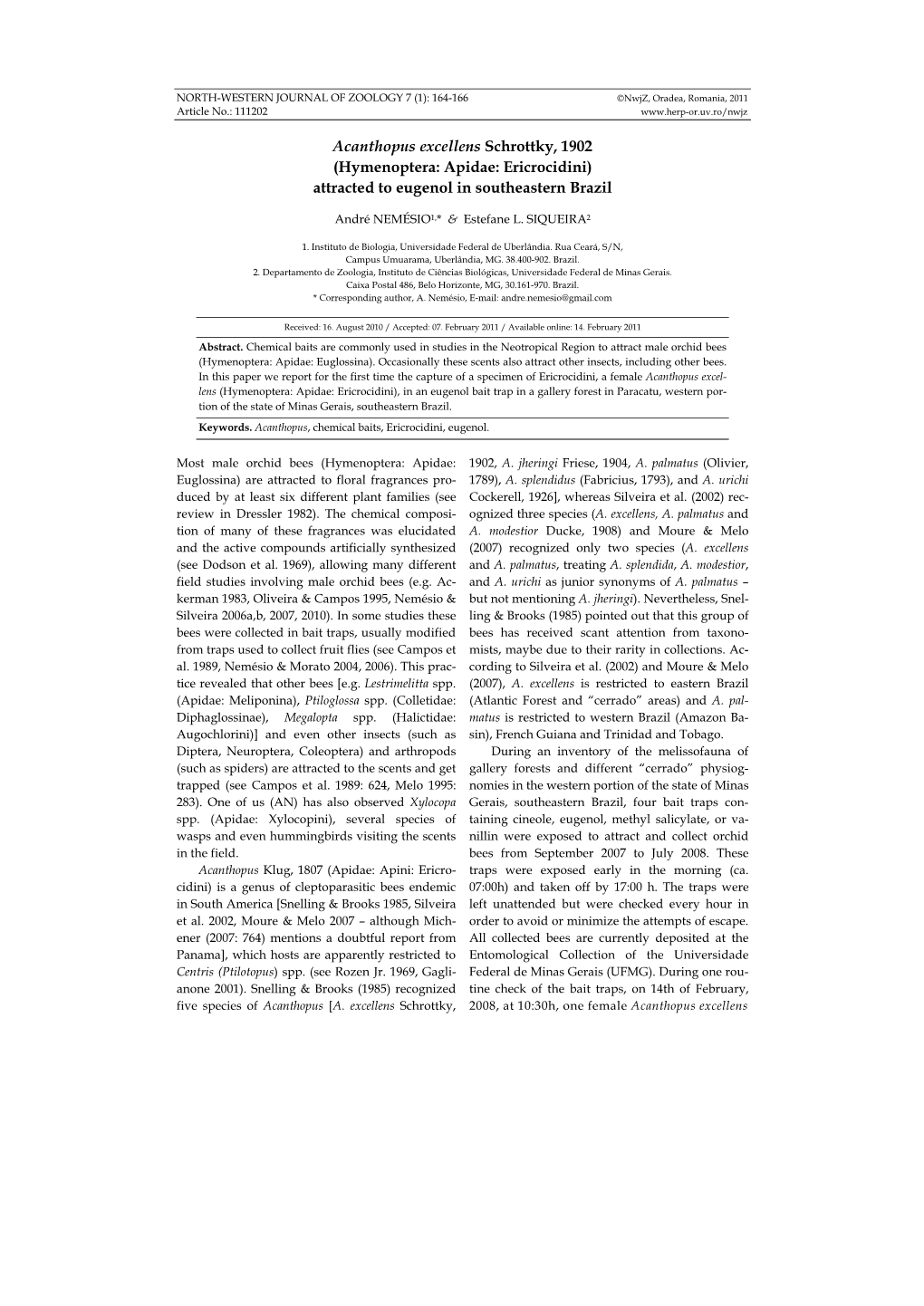 Acanthopus Excellens Schrottky, 1902 (Hymenoptera: Apidae: Ericrocidini) Attracted to Eugenol in Southeastern Brazil