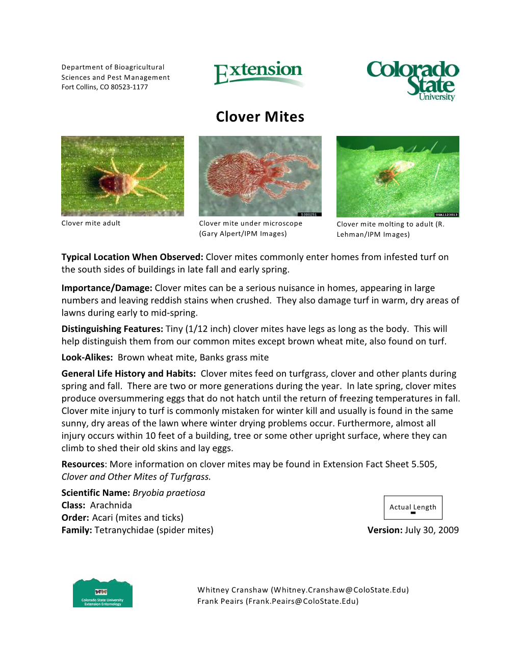 Clover Mites