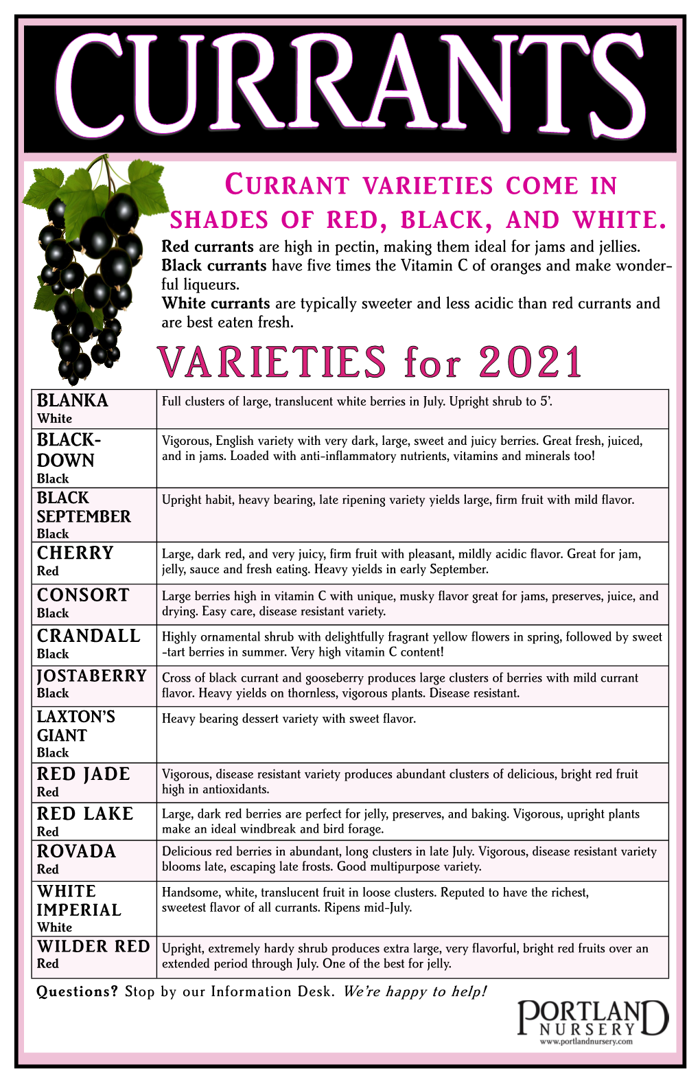 Currant Varieties Come in Shades of Red , Black, And