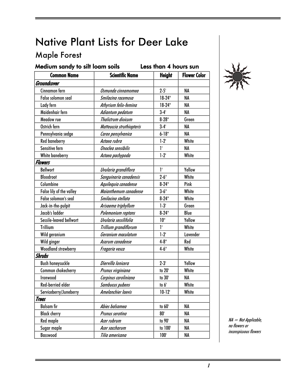 Native Plant Lists for Deer Lake Maple Forest Medium Sandy to Silt Loam Soils Less Than 4 Hours Sun Common Name Scientific Name Height Flower Color Groundcover