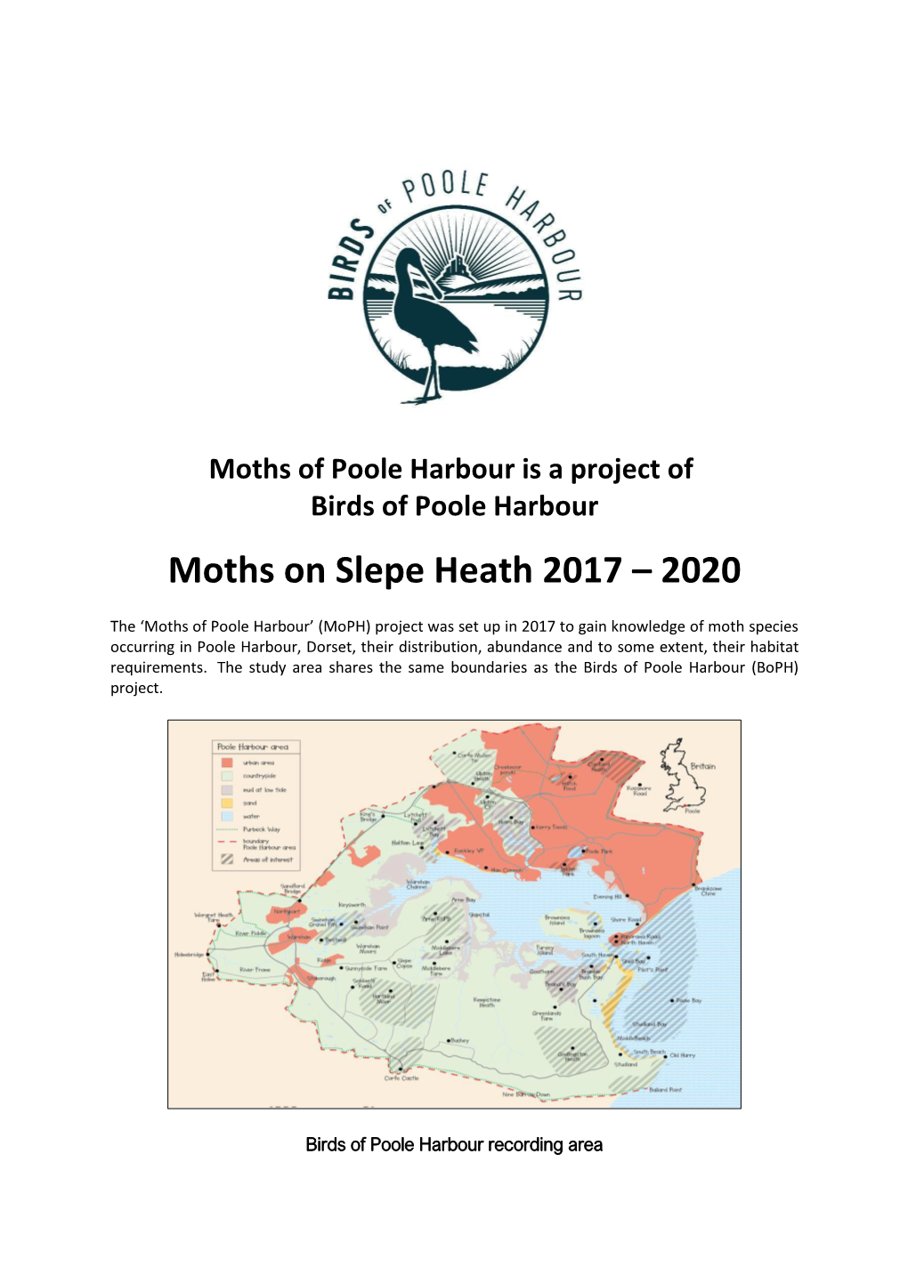 Moths on Slepe Heath 2017 – 2020