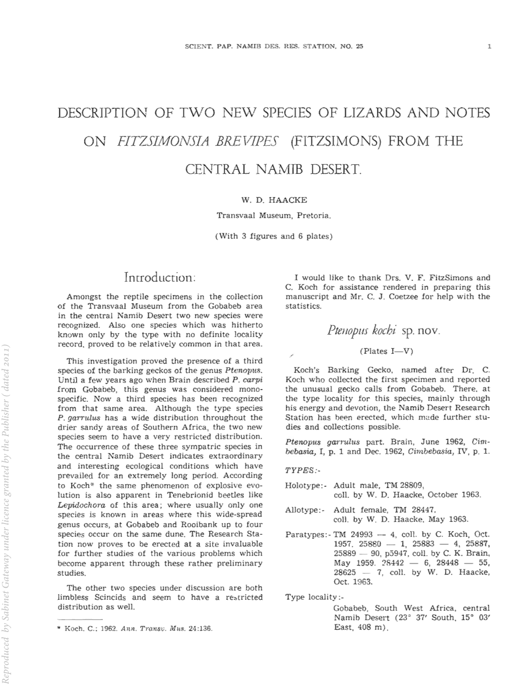 DESCRIPTION of TWO NEW SPECIES of LIZARDS and NOTES on FITZSIMONSIA Iabrtfipes (FITZSIMONS) from the CENTRAL NAME DESERT