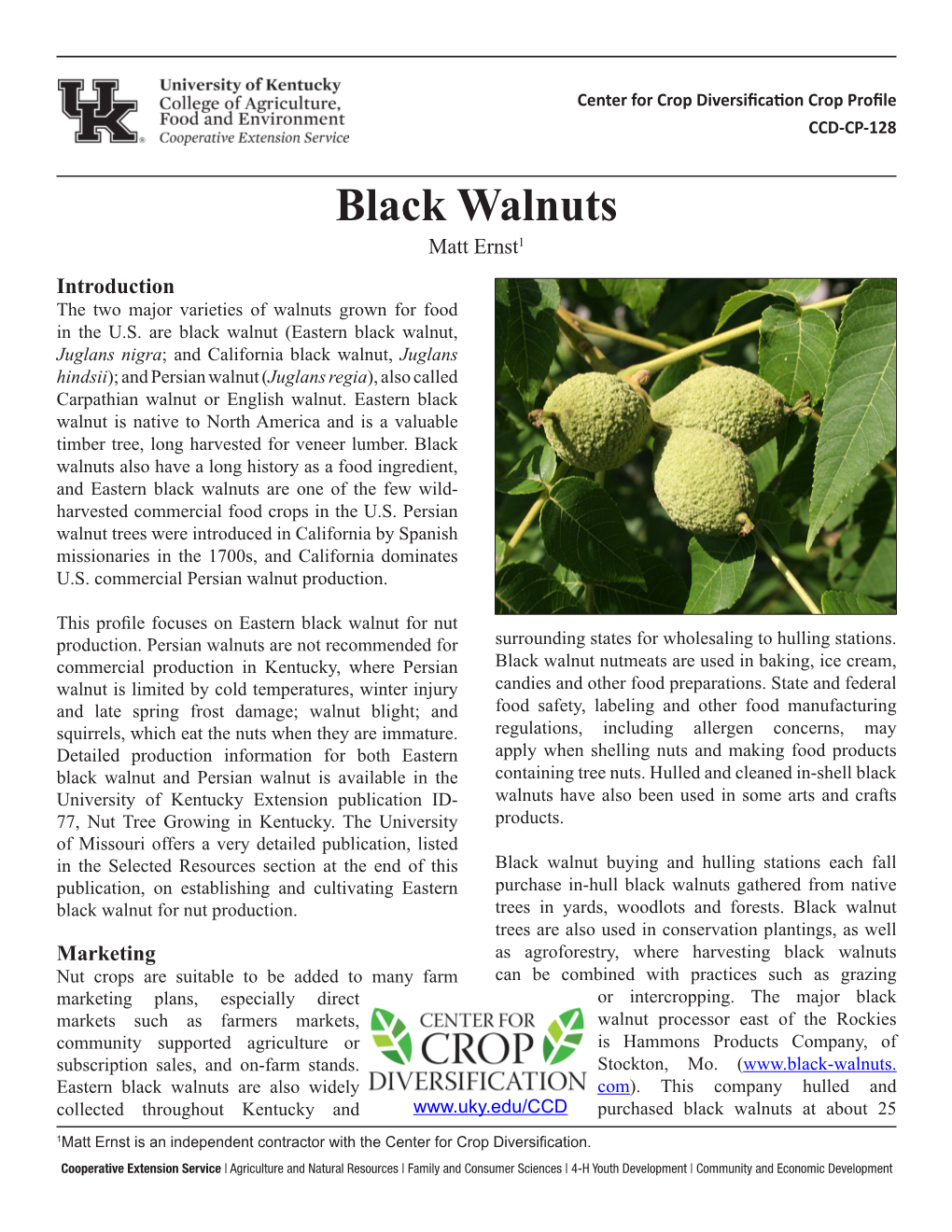 Black Walnuts Matt Ernst1 Introduction the Two Major Varieties of Walnuts Grown for Food in the U.S