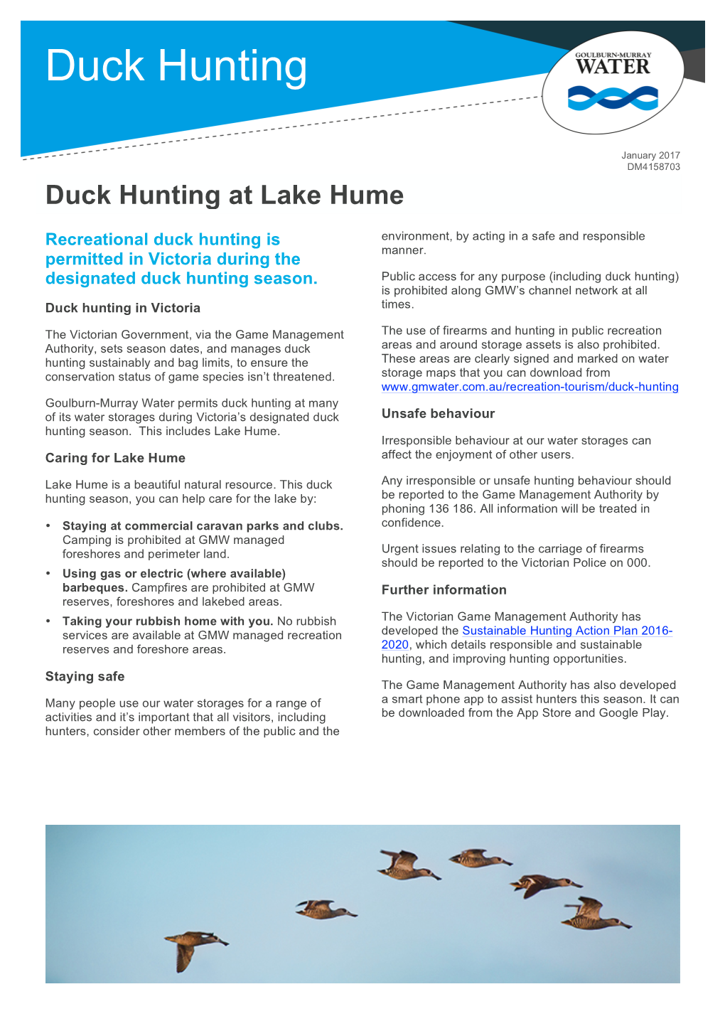 Duck Hunting