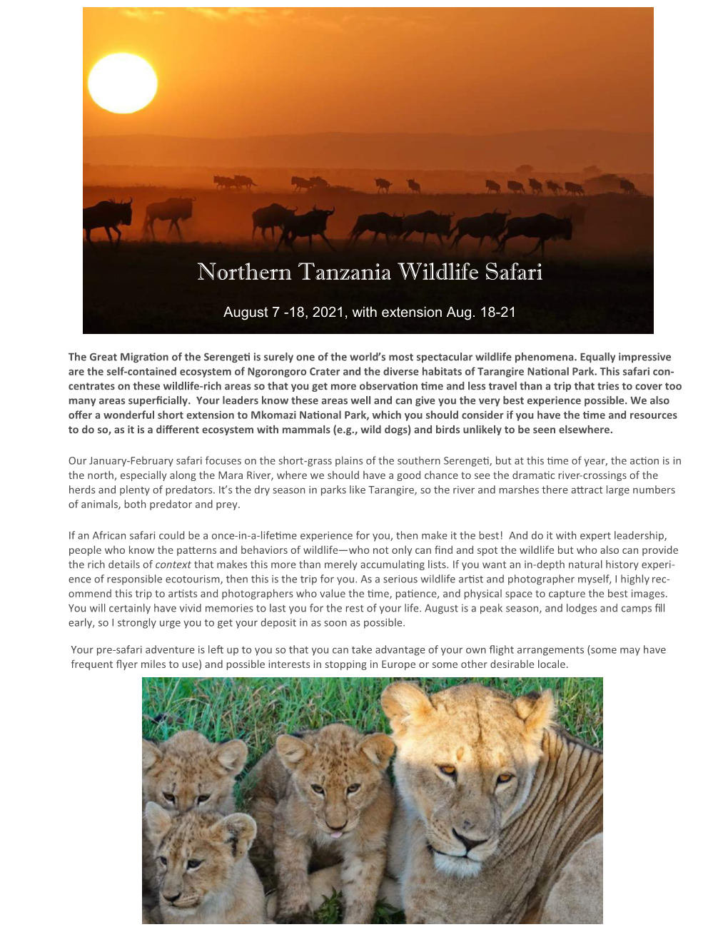 Northern Tanzania Wildlife Safari