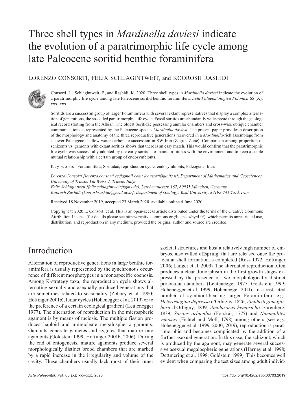 Three Shell Types in Mardinella Daviesi Indicate the Evolution of a Paratrimorphic Life Cycle Among Late Paleocene Soritid Benthic Foraminifera