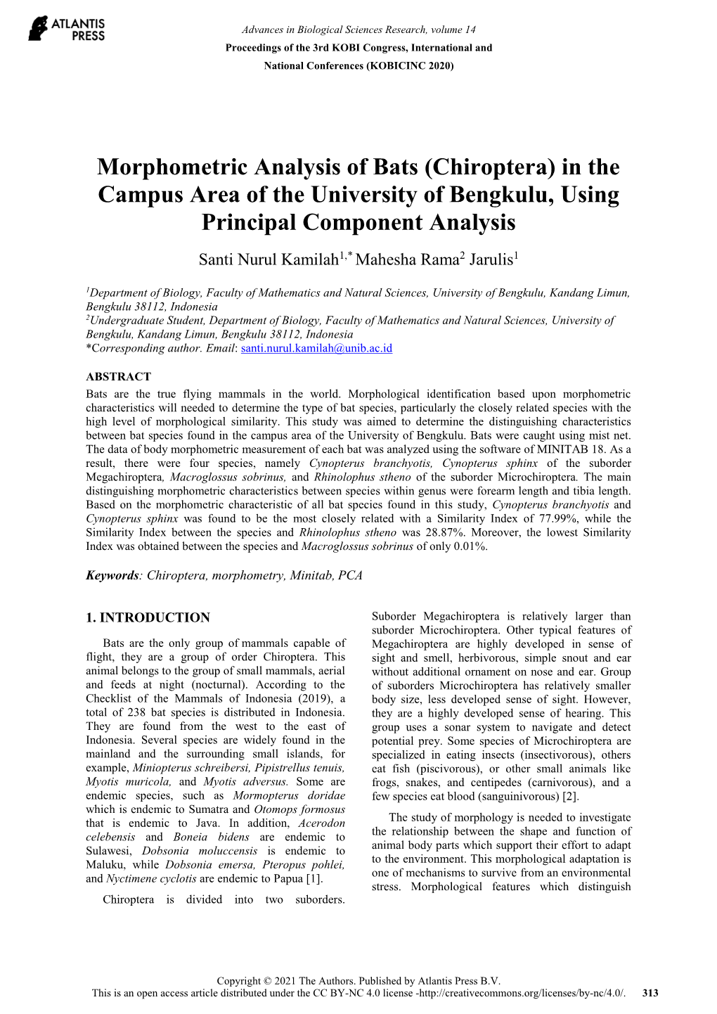 Morphometric Analysis of Bats (Chiroptera) in the Campus Area Of