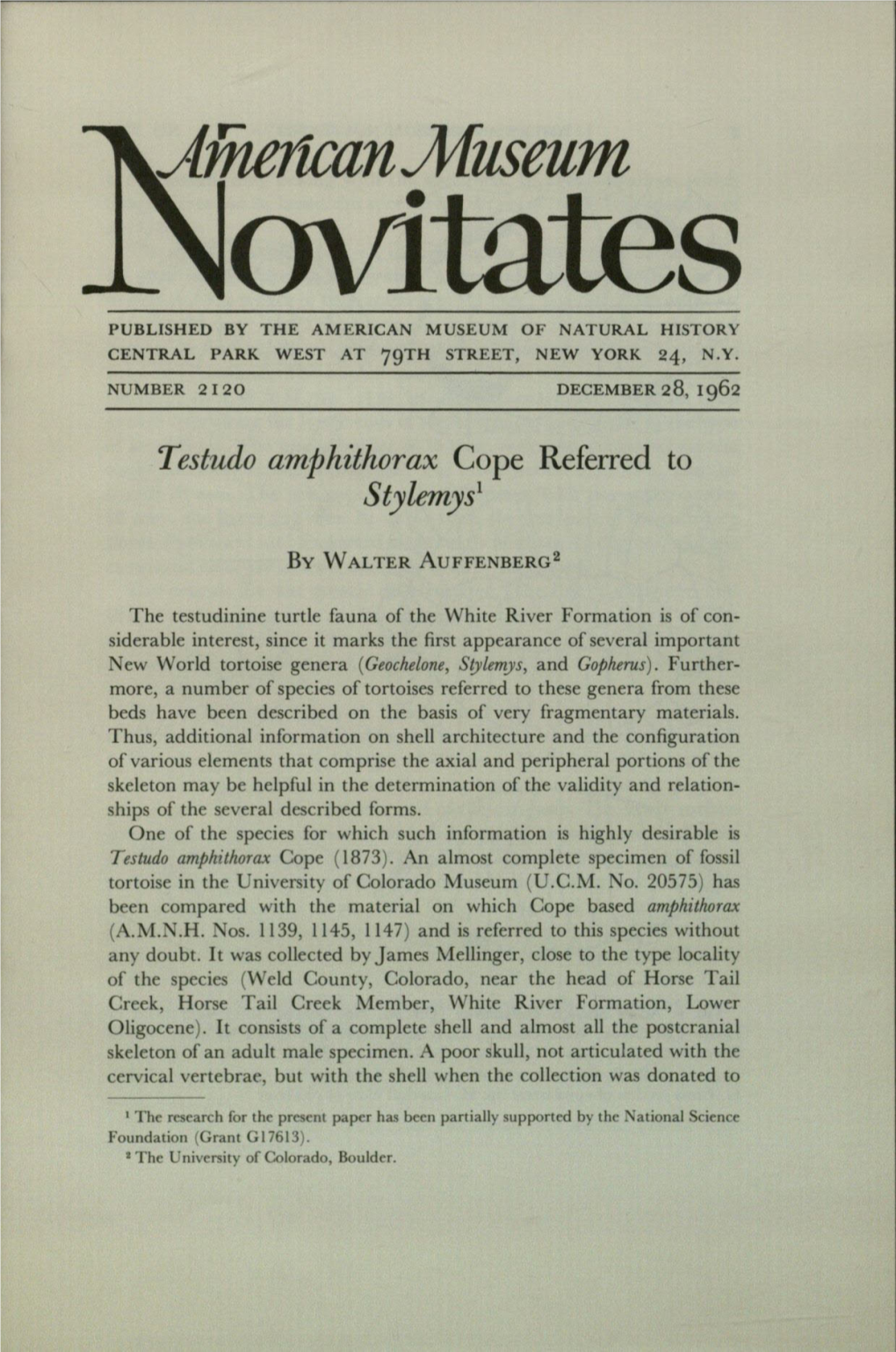 Afherzeanmuseum Ovitates PUBLISHED by the AMERICAN MUSEUM of NATURAL HISTORY CENTRAL PARK WEST at 79TH STREET, NEW YORK 24, N.Y