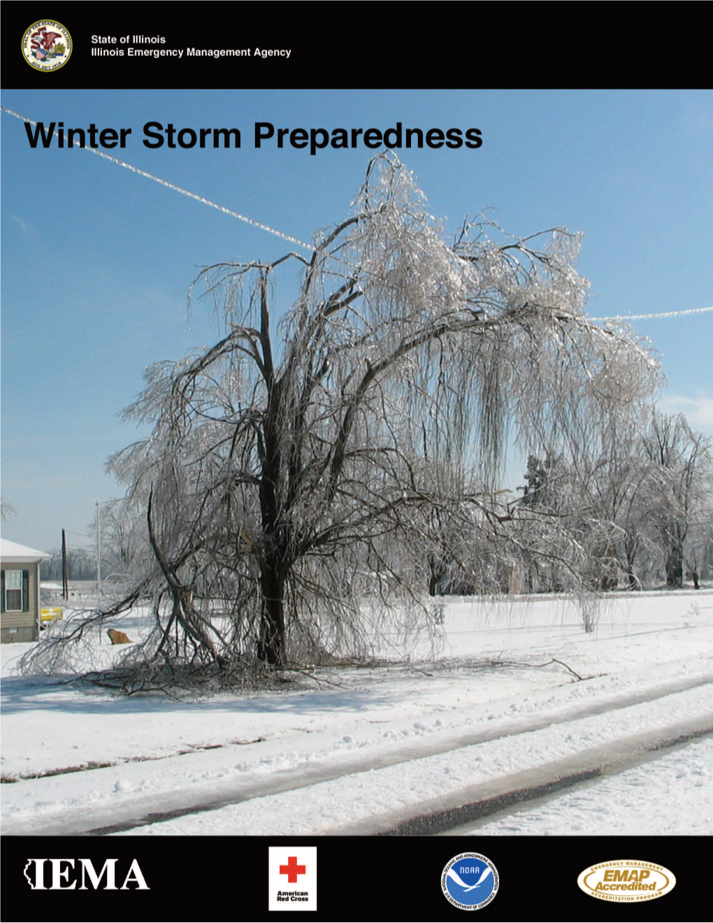 Winter Storm Preparedness