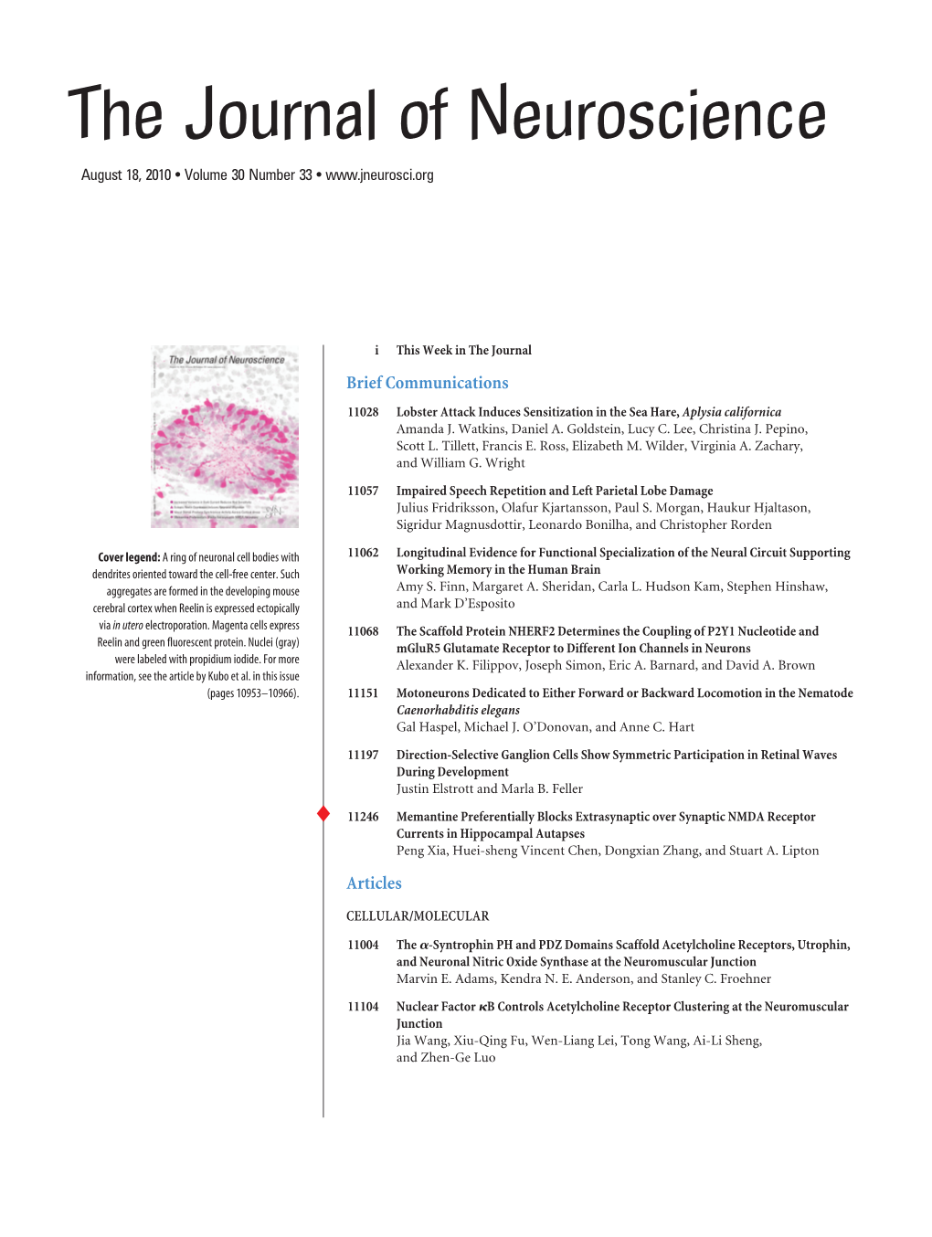 The Journal of Neuroscience August 18, 2010 • Volume 30 Number 33 •