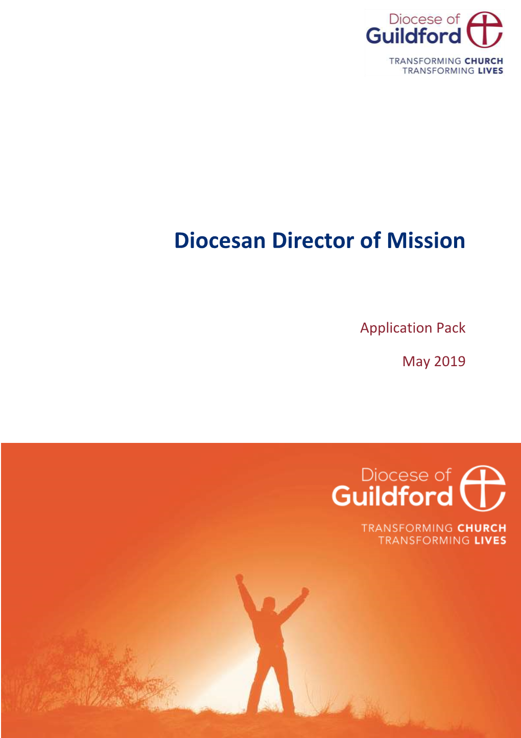 Diocesan Director of Mission