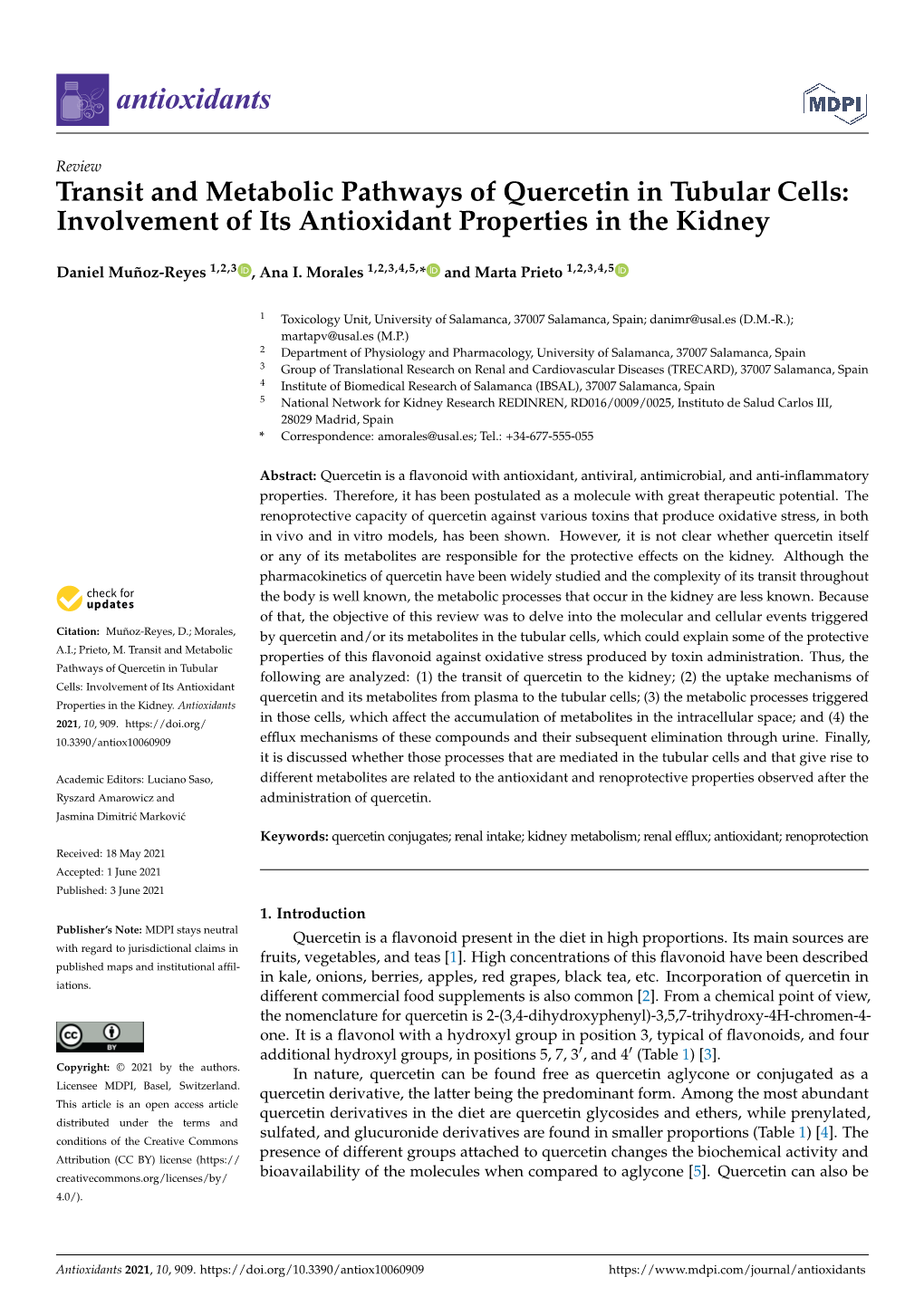 Transit and Metabolic Pathways of Quercetin in Tubular Cells: Involvement of Its Antioxidant Properties in the Kidney