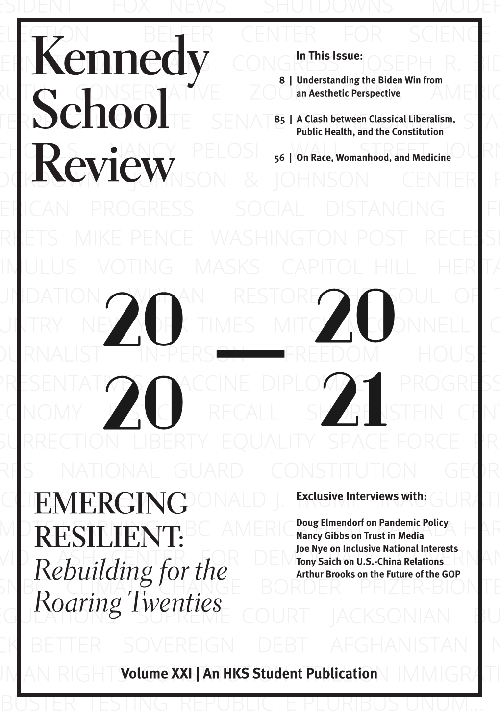 Understanding the Biden Win from an Aesthetic Perspective Pierce Henderson 8