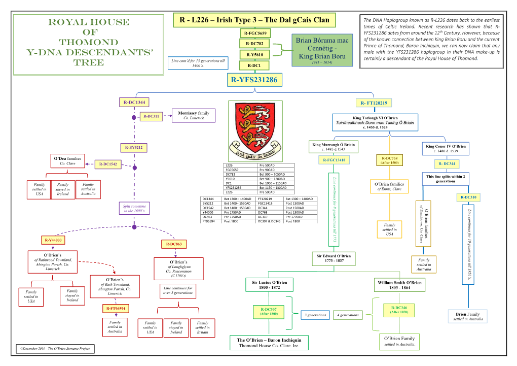 Royal House of Thomond Y-DNA Descendants' Tree