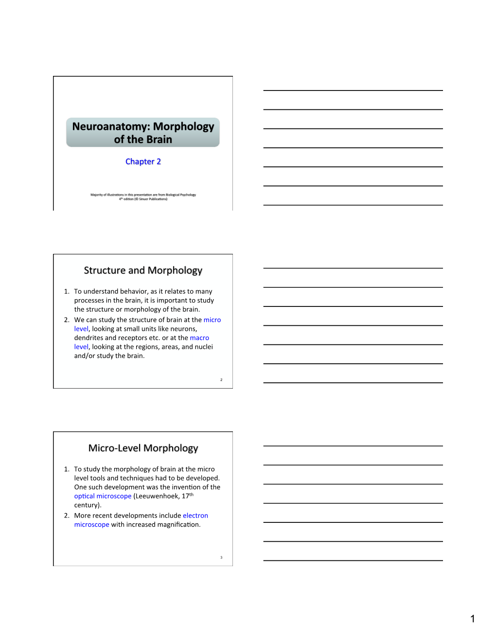 Structure and Morphology Micro-‐Level Morphology