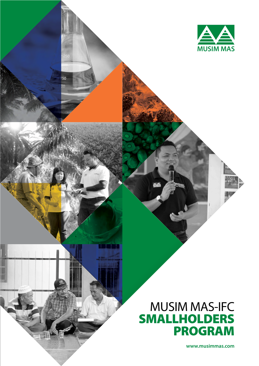 MUSIM MAS-IFC SMALLHOLDERS PROGRAM Why Should We Focus on Independent Smallholders?