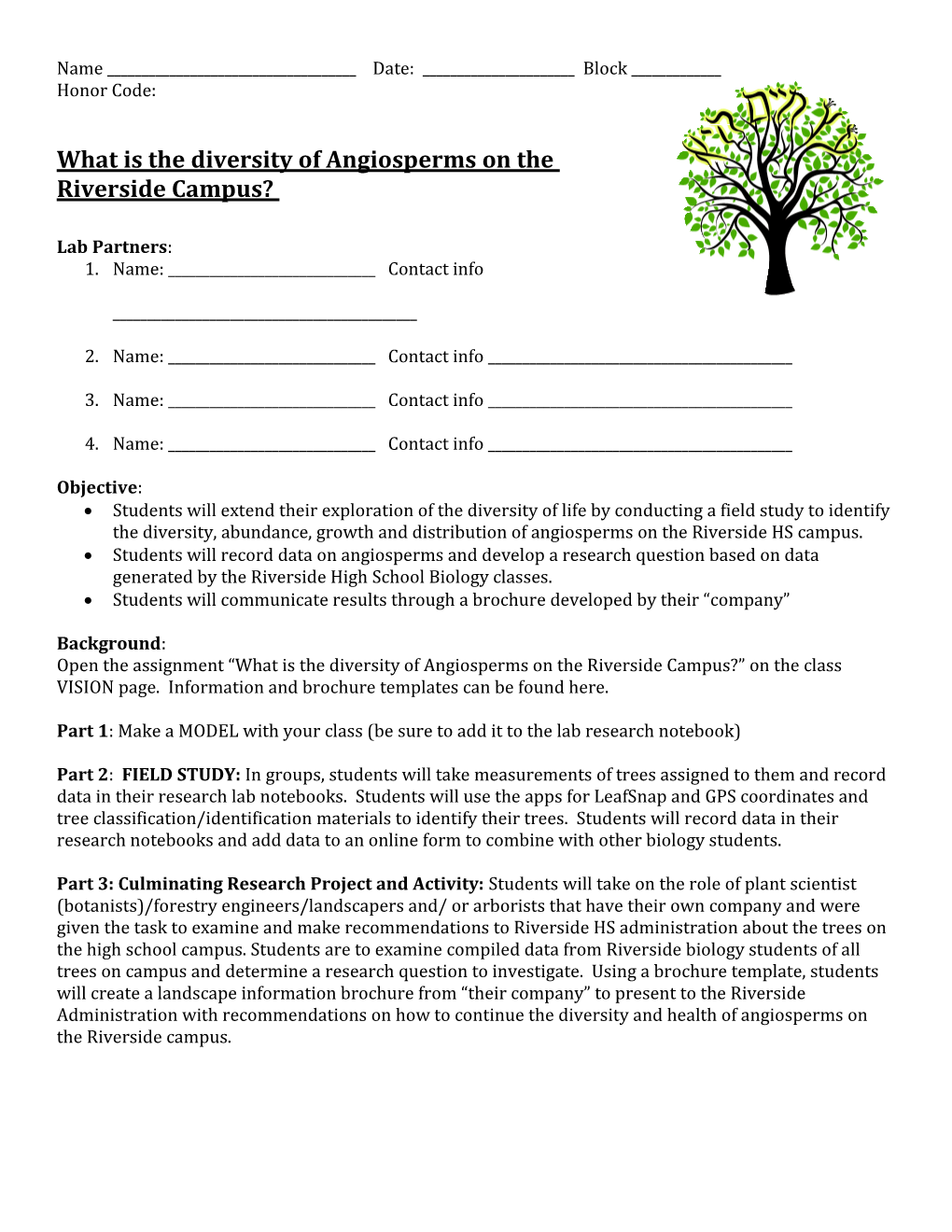 What Is the Diversity of Angiosperms on The