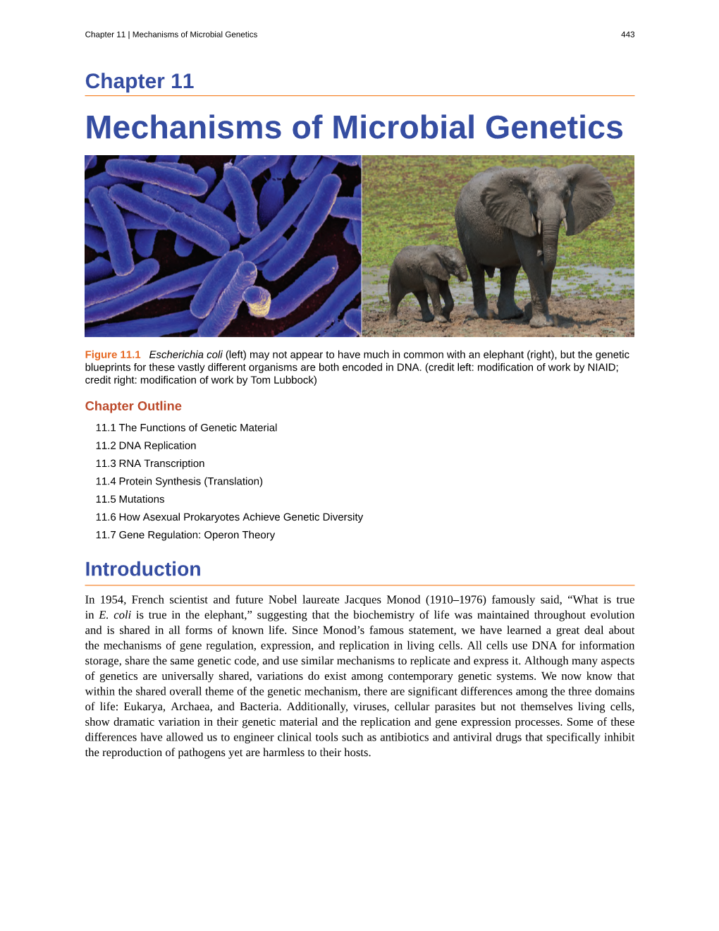 Mechanisms of Microbial Genetics 443