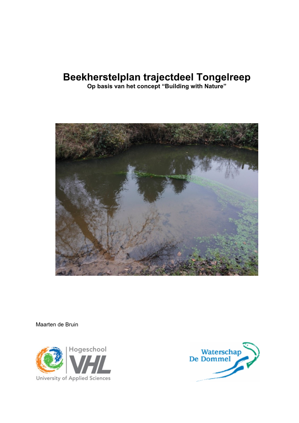 Beekherstelplan Trajectdeel Tongelreep Op Basis Van Het Concept “Building with Nature”