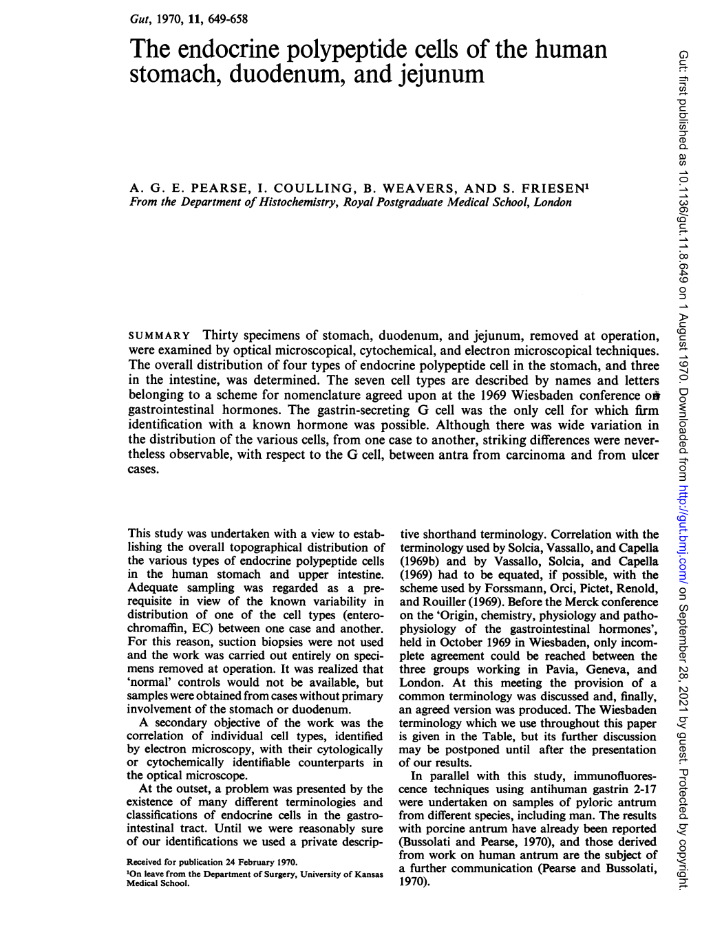 Stomach, Duodenum, and Jejunum