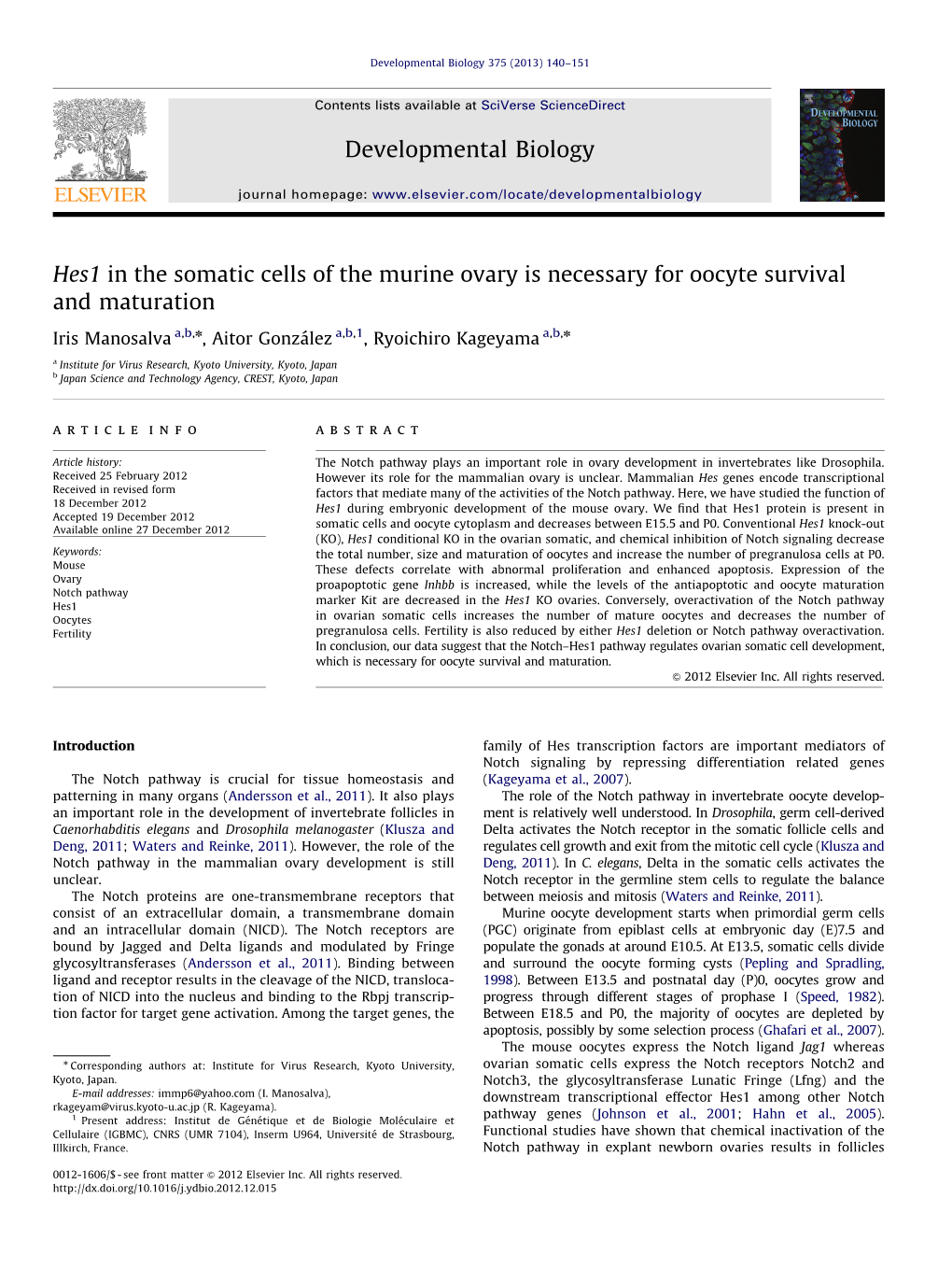 Hes1 in the Somatic Cells of the Murine Ovary Is Necessary for Oocyte Survival and Maturation