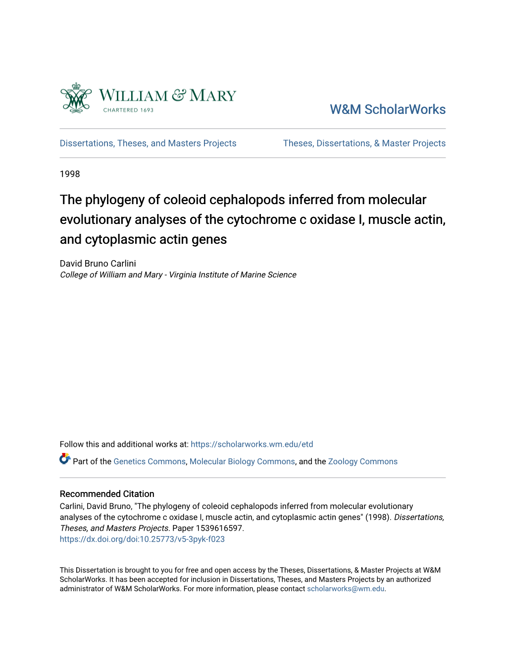 The Phylogeny of Coleoid Cephalopods Inferred from Molecular Evolutionary Analyses of the Cytochrome C Oxidase I, Muscle Actin, and Cytoplasmic Actin Genes