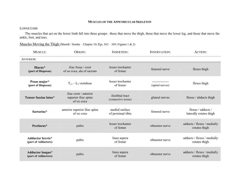 The Muscles That Act on the Lower Limb Fall Into Three Groups: Those That Move the Thigh, Those That Move the Lower Leg, and Those That Move the Ankle, Foot, and Toes